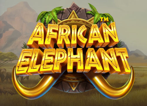 African Elephant