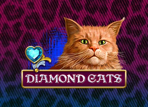 Diamond Cats
